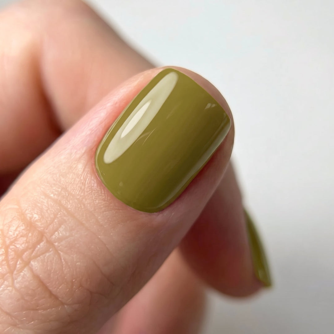 Olive appliqué