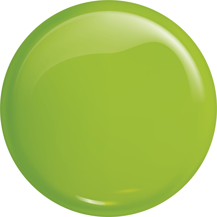 VICTORIA VYNN ™ Gel Polish No.332 Insane Green - Elegance Beauty