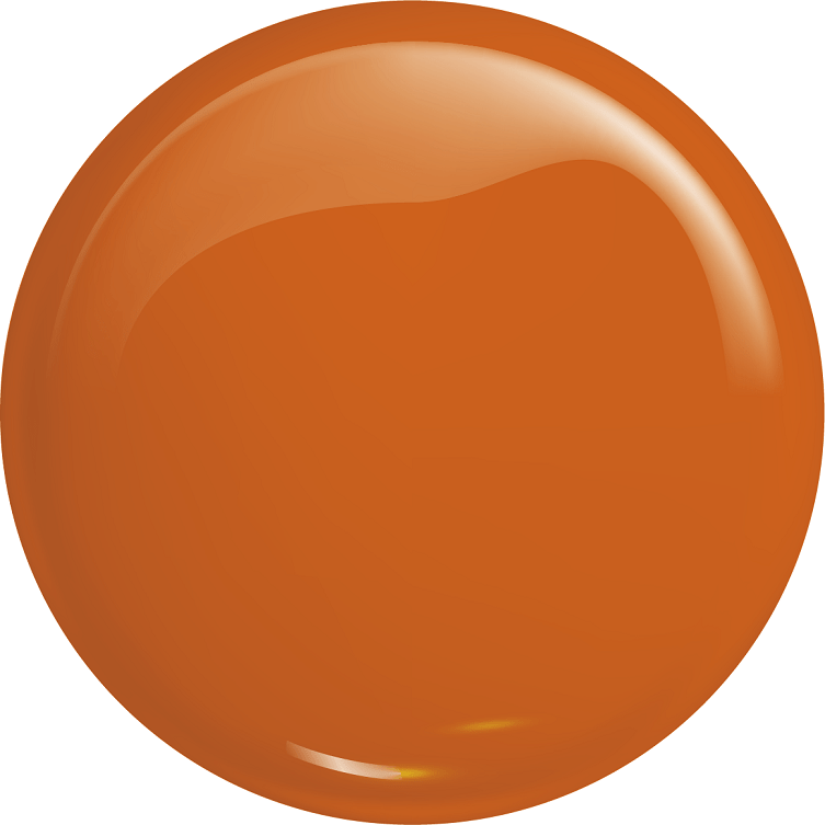 VICTORIA VYNN ™ Gel Polish No.339 Psycho Orange - Elegance Beauty
